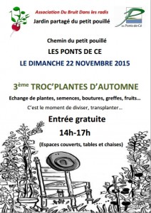 troc plantes d'automne
