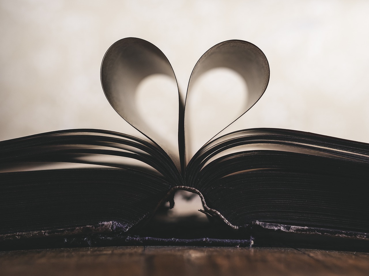 04_rentree-litteraire-cc-1100254_1280