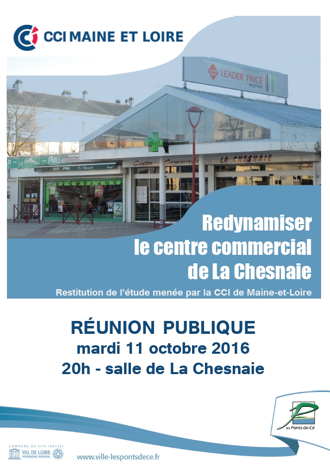 reunion-publique-cci