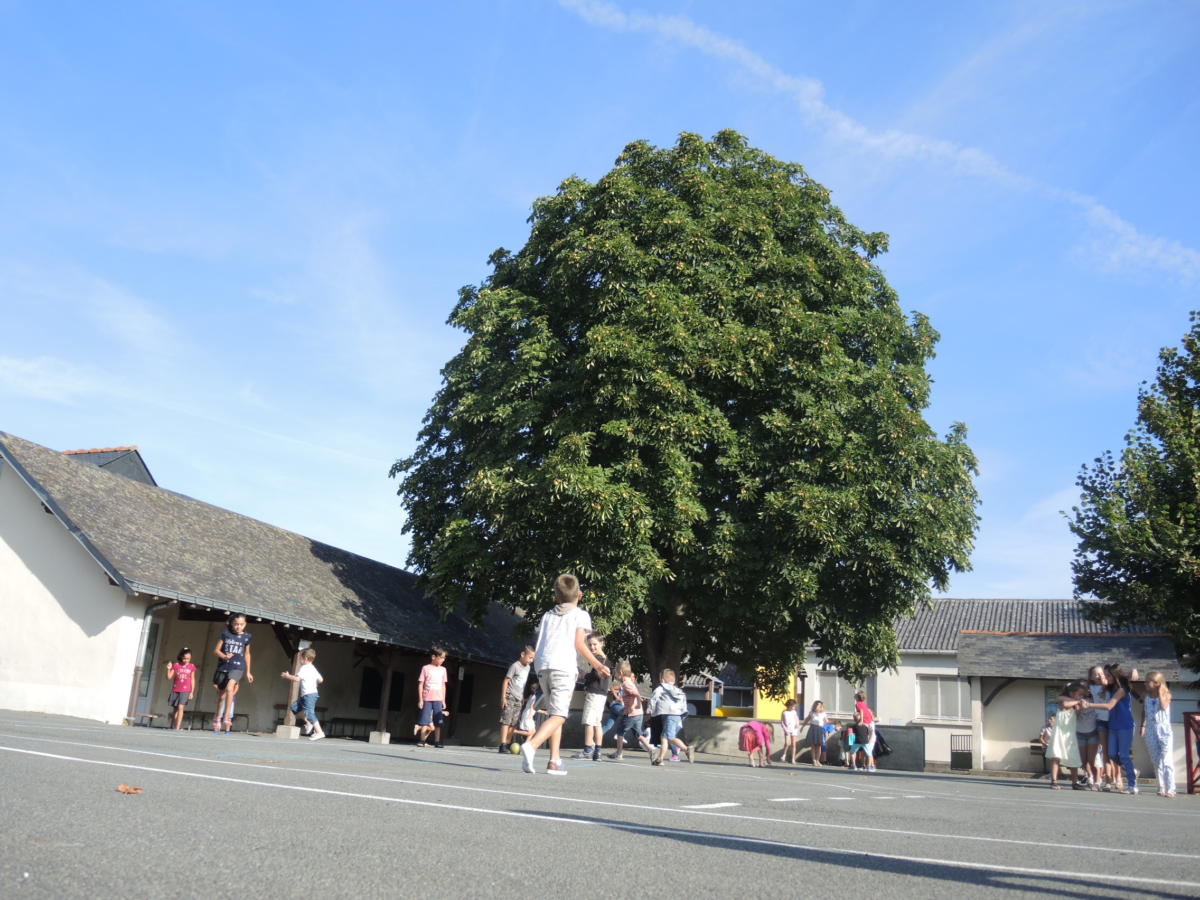 etablissements-scolaires-ponts-de-ce