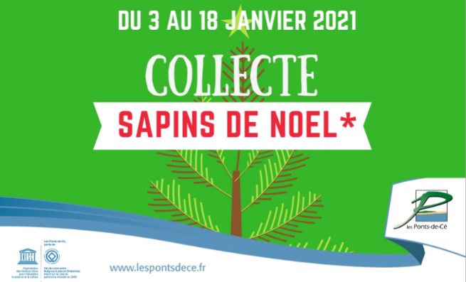 Collecte des sapins de Noël