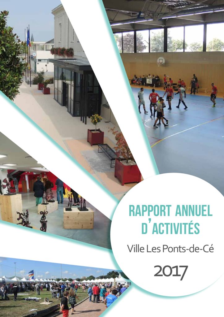 thumbnail of rapport activités 2017 FINALfev2019