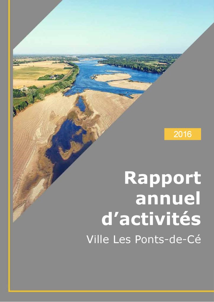 thumbnail of Rapport annuel d’activités 2016 BD