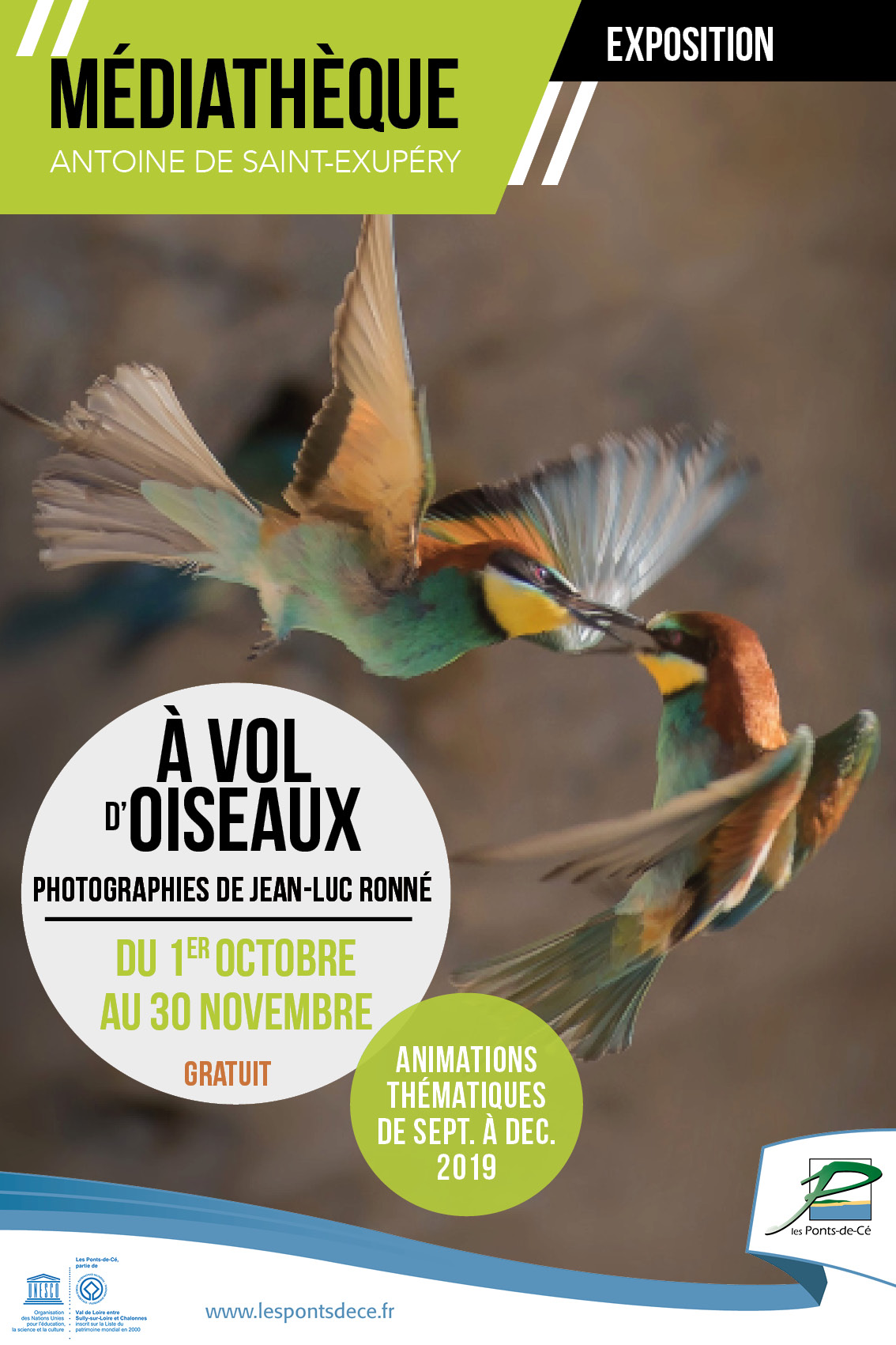 Exposition à Vol Doiseaux Médiathèque Ville Des Ponts
