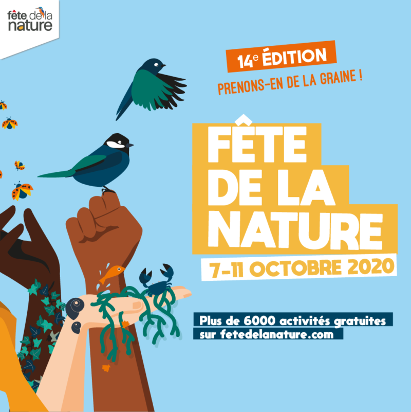 Atelier bombes à graines et inauguration d'une grainothèque - Fête de la Nature