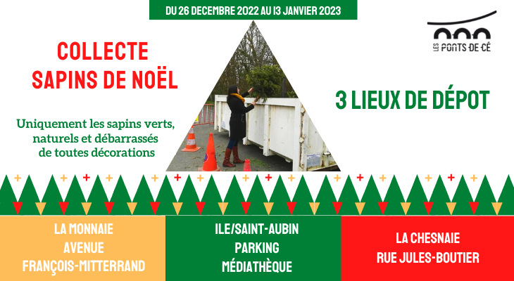 Collecte de sapins de Noël