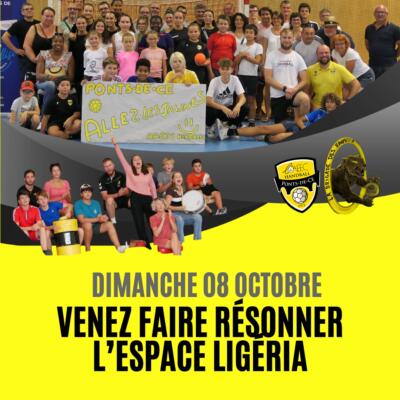 AAEEC Handball - Opération tous à Ligéria !!!