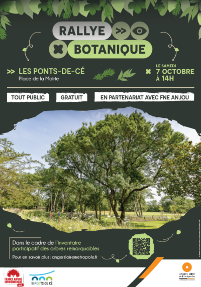 Rallye botanique - arbres remarquables