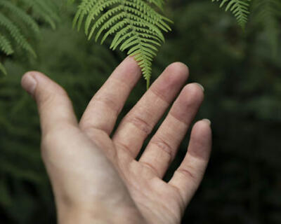 ATELIERS : Création d'œuvre végétale et Photographie florale