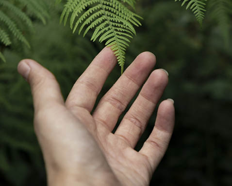 ATELIERS : Création d'œuvre végétale et Photographie florale