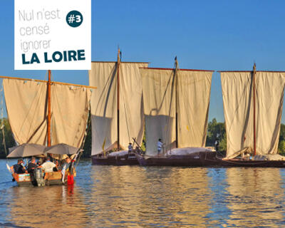 Projection film - La Loire royale et rebelle