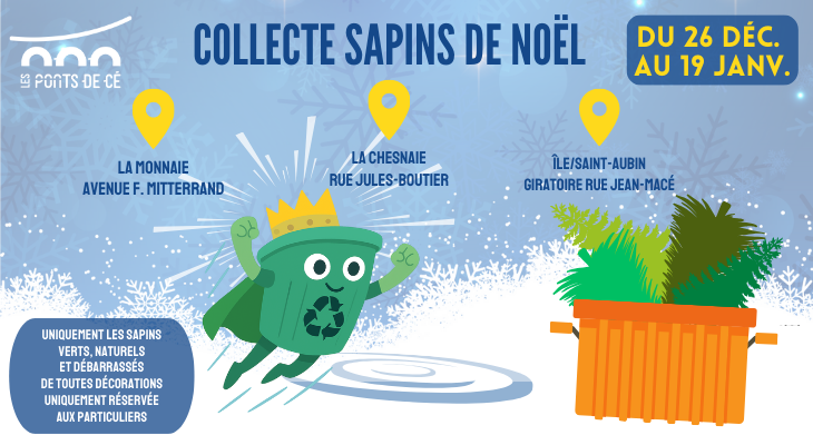 Collecte des sapins de Noël