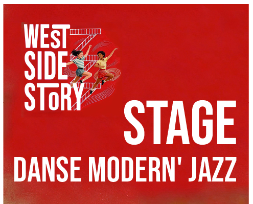 STAGE DANSE modern' jazz
