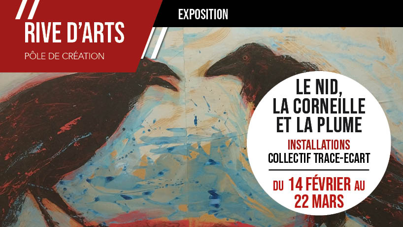 LE NID, LA CORNEILLE ET LA PLUME