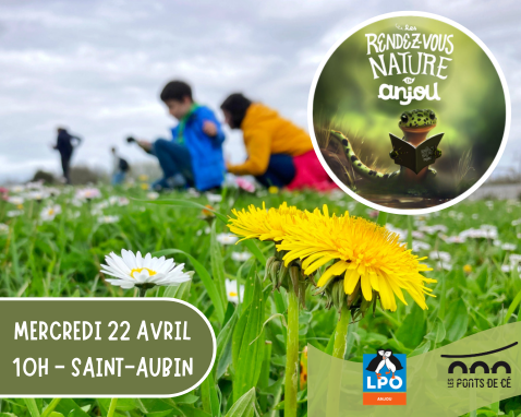 Rallye Fleurs et petites bêtes - Les RDV Nature en Anjou