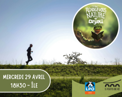Run and birds - Les RDV Nature en Anjou
