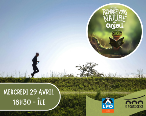Run and birds - Les RDV Nature en Anjou