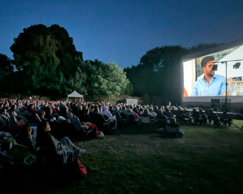 Cinéma en plein air