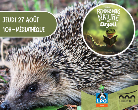 RDV Nature en Anjou - Attention ça pique