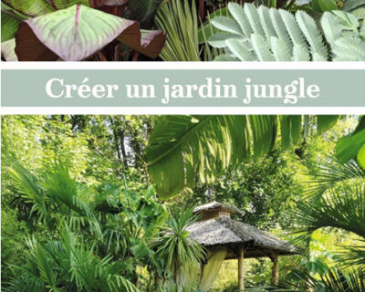 ATELIER CONFÉRENCE « Créer un Jardin Jungle »