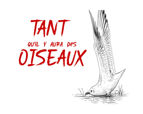 EXPOSITION « A l’affût du vivant : regards sur la nature »