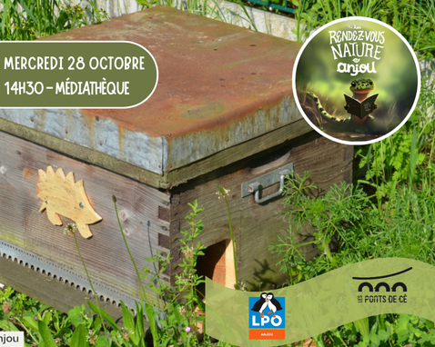 RDV Nature en Anjou - Brico-piquant !