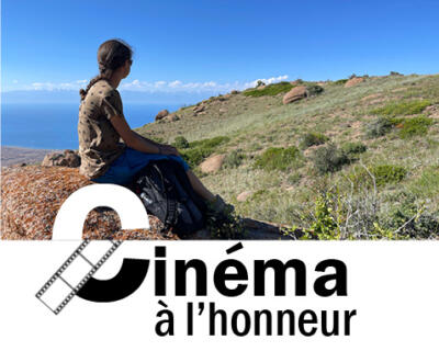 Le cinéma à l'honneur