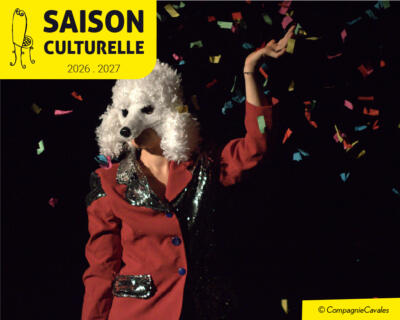 Spectacle "Qui n'a pas tué Andromaque ?"