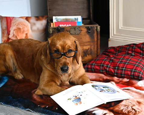Atelier médiation animale 