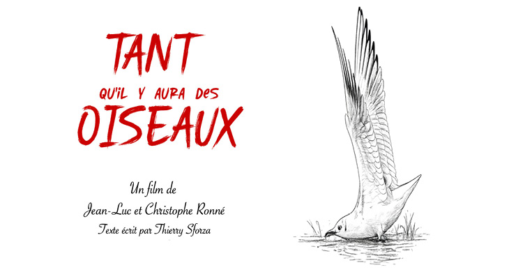 Avant-première - Tant qu’il y aura des oiseaux